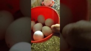 1000019563.mp4