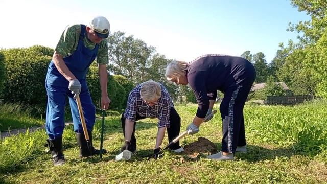 Посадка дубовых аллей Кировская и Бамовская в честь 50-летия Всесоюзных ударных комс. строек Тихвин