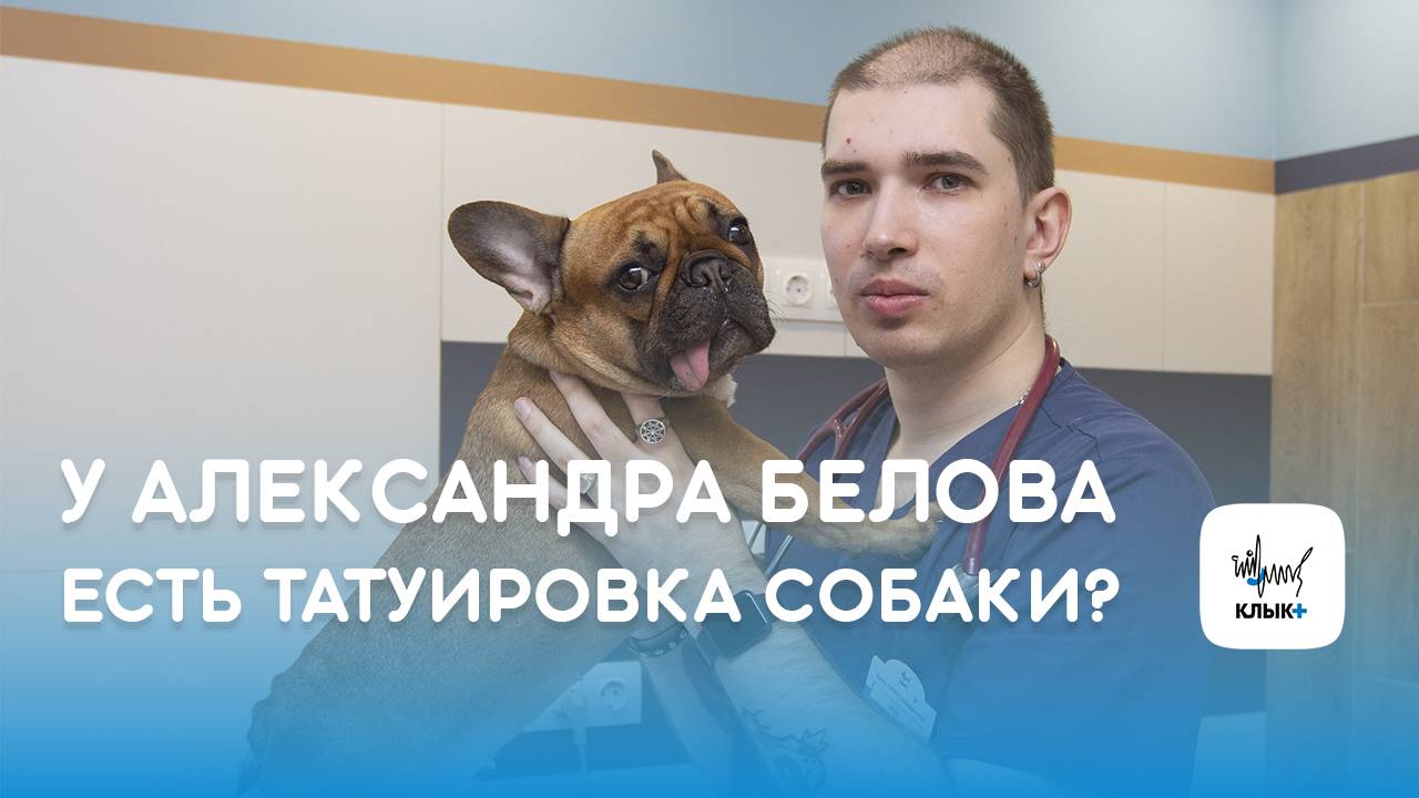 У Александра Белова есть татуировка собаки?