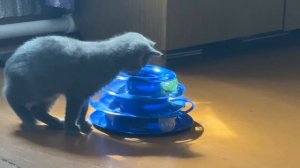 в деревне показали новую игрушку. ну как новую, это бусечки она с ней не играет)