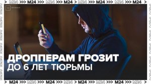 В России дропперам может грозить до 6 лет тюрьмы - Москва 24