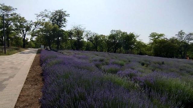 Прогулялись к морю .