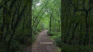 Майская, весенняя.Солнечная тропа. Ялта
Гаспра – Ливадия. Май 2025