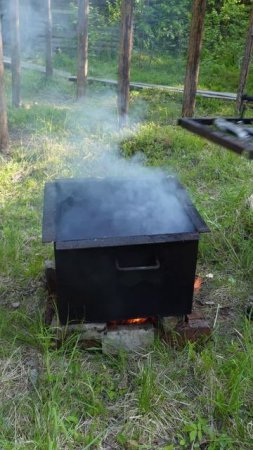 Горячее копчение на рыбалке.