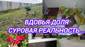 ВДОВЬЯ ДОЛЯ. СУРОВАЯ РЕАЛЬНОСТЬ...