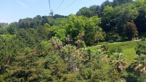 Сочи канатная дорога в денрариум