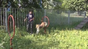 Лета 1.07.2019
