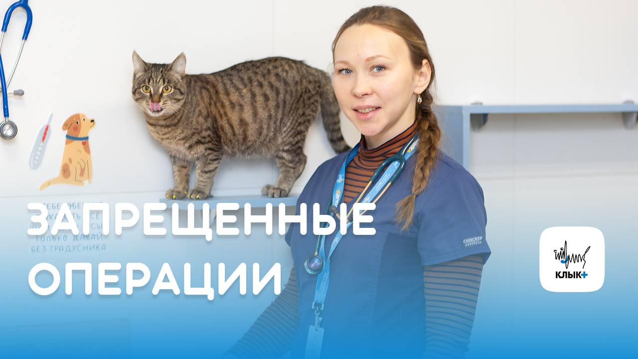 Запрещенные операции в Клыке