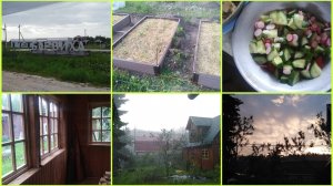 Наша Барвиха! Что нового на участке? Не хватает мужа... Ливень 21/2025