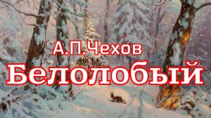 Рассказ «Белолобый» А.П.Чехов