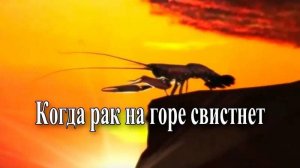 Шок рак на горе свистнул