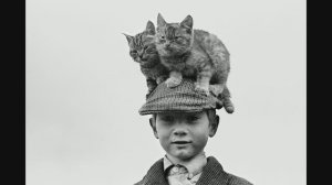 Знакомство с творчеством Ален МакУини