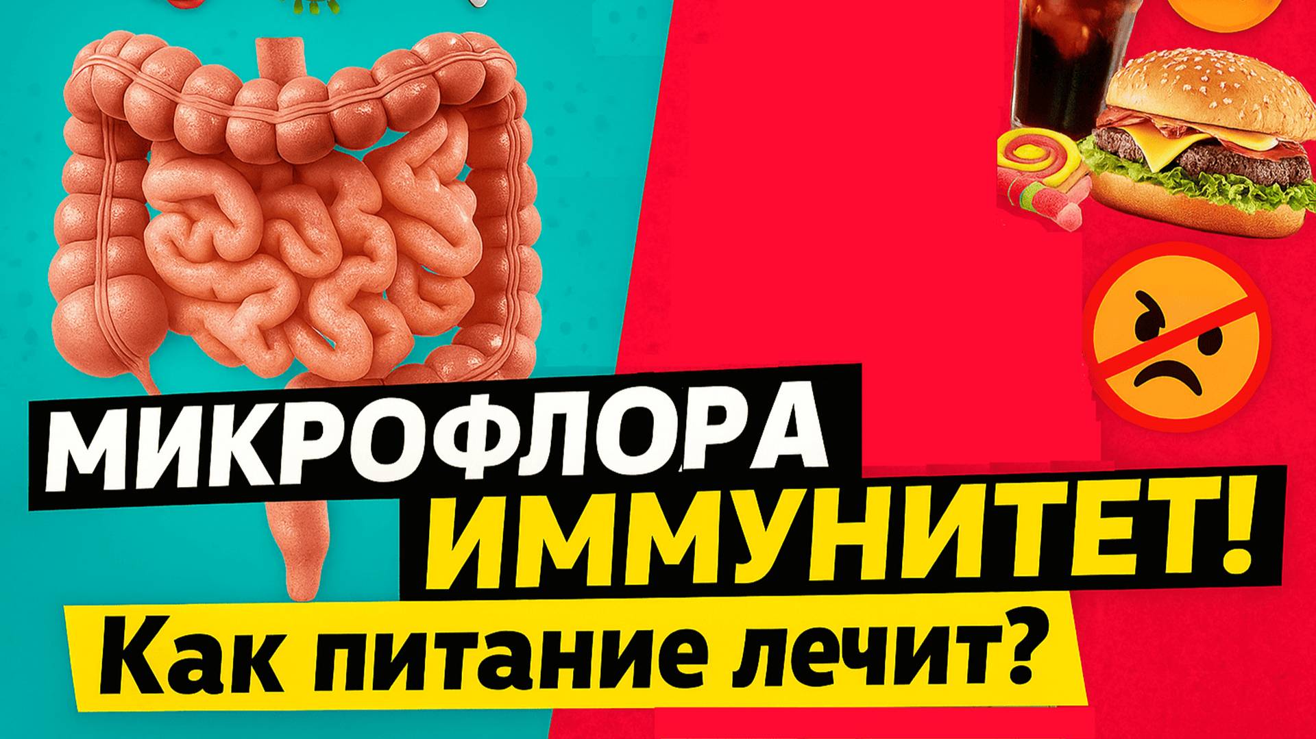 🎥 Как питание влияет на микрофлору кишечника? Объясняет врач 👩⚕️