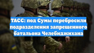 ТАСС: под Сумы перебросили подразделения запрещенного батальона Челебиджихана
