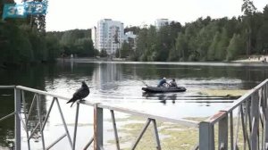 Новости Заречного от 17.06.25