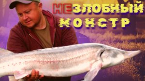 неЗЛОБНЫЙ МОНСТР