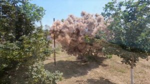 Влог | Красивый спуск к морю | 800 ступеней | Прогулка по камням | Анапа