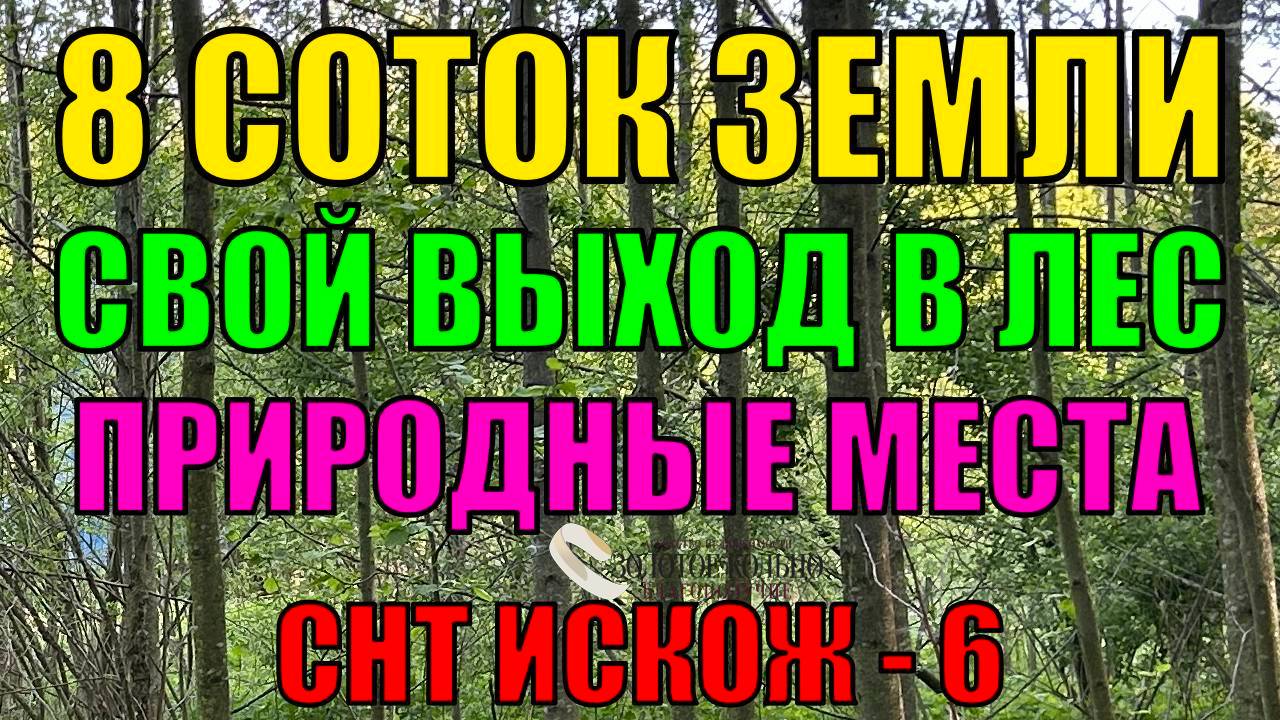 Продается земельный участок 8 соток с хоз.блоком около леса в СНТ Искож - 6, Александровский район