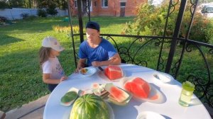 Влог! Едим вкусный арбуз! Собираем крыжовник!