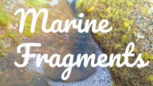 Marine fragments