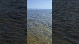 Отдых на море 2025г. Пятая серия.