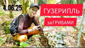 АДЫГЕЯ ГУЗЕРИПЛЬ В ЛЕС ЗА ГРИБАМИ ИЮНЬ 2025 ГОД