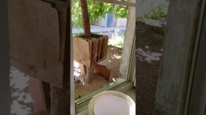 песочные ванны и немного курятник