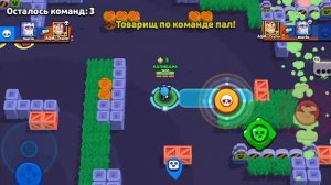 играю в брал