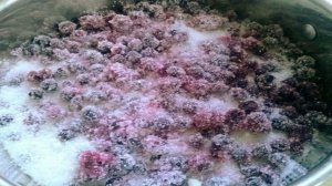 Черничное варенье пятиминутка