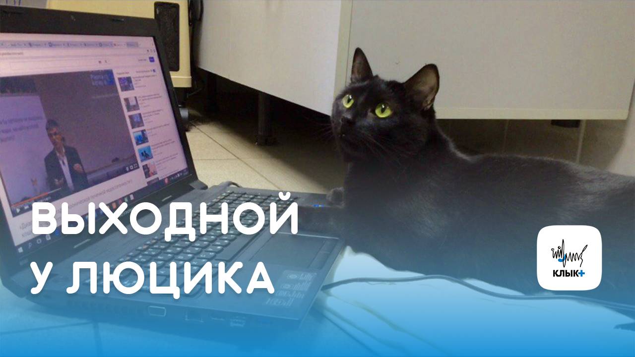 Выходной у Люцика