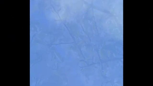 КОМЕДИЯ РОК  Ненависть к Войне!!!!
