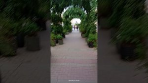 Арбат озеленили