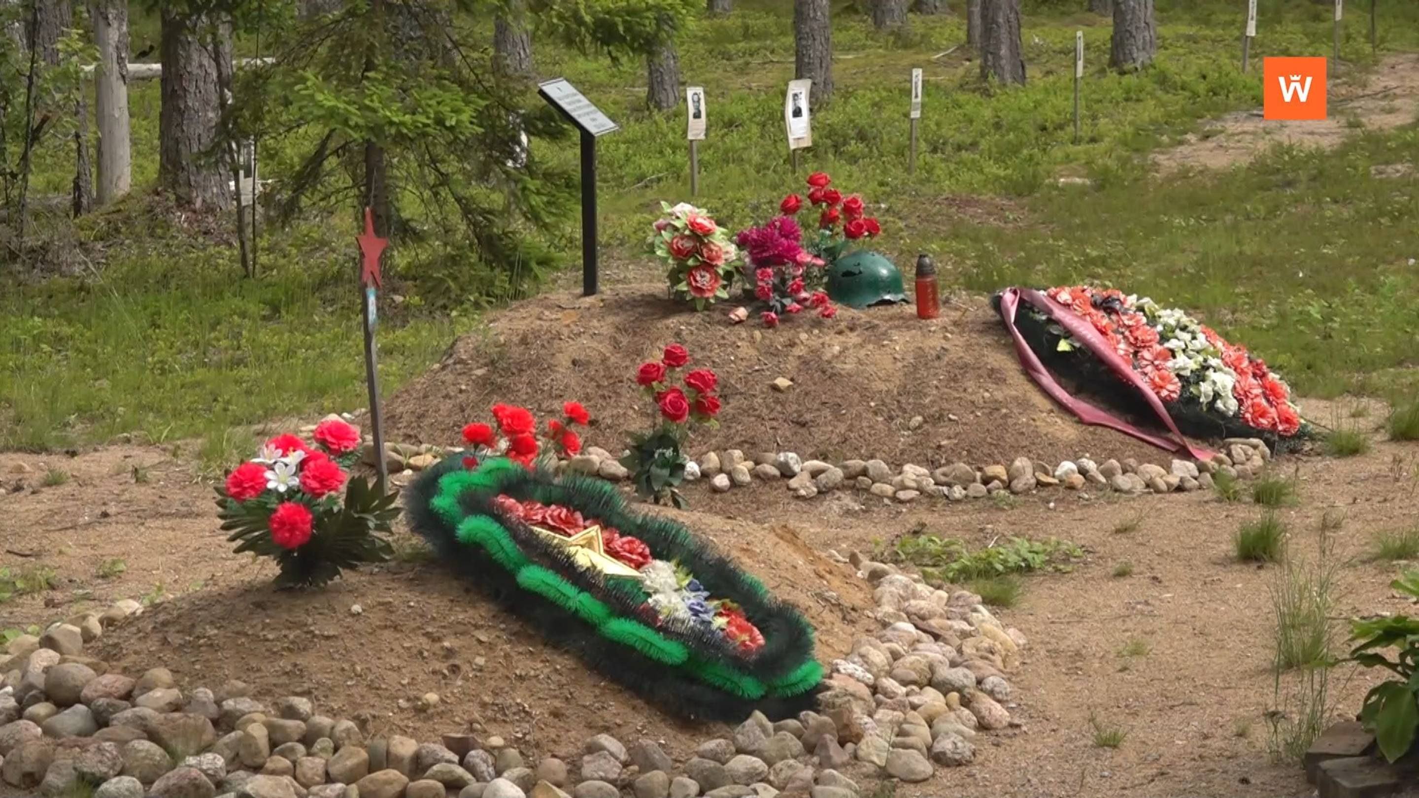 Программа «Город. Новости по-выборгски» от 17 июня 2025 года