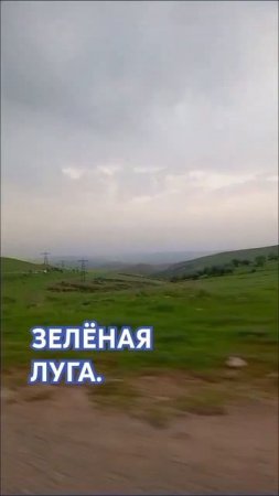 зелёная луга