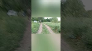 Рыбалка на карася на старице реки Урал