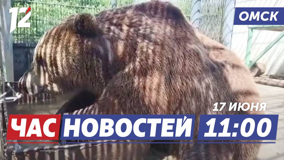 Звери в зоопарке / Суд над владельцем собак / Экзотические птицы. Новости Омска