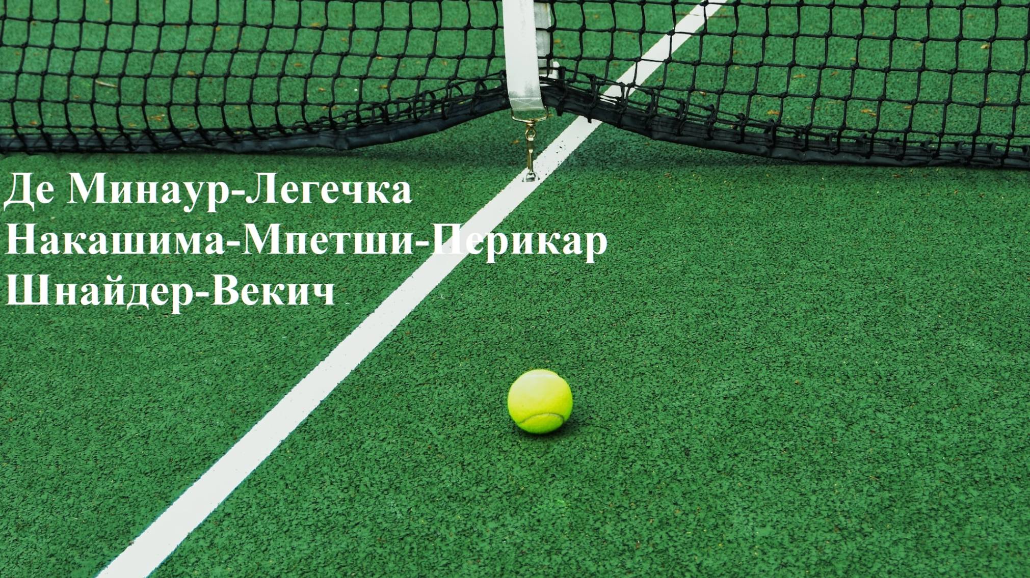 Де Минаур-Легечка, Накашима-Мпетши-Перикар, Шнайдер-Векич прогнозы на теннис 17 июня 2025