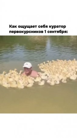 Мои дети