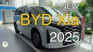Новый BYD Xia белого цвета 2025 года. Видео обзор.