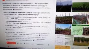 о рентабельности мини сада интенсивного типа.