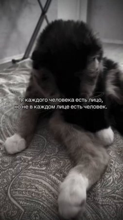 Не все лица одинаковы