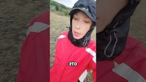 достоинство