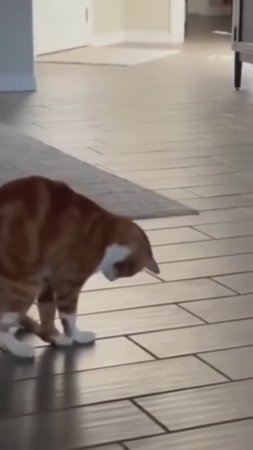 Скучает парень)))