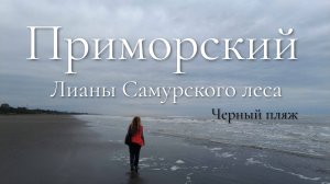 "Таинственный Дагестан: Лианы Приморского и Чёрные Пески пляжа"  (Октябрь 2023)