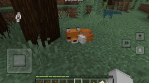 САМОЕ ОФИГЕННОЕ ДЛЯ МЕНЯ ВИДЕО КОТОРОЕ У МЕНЯ ВЫШЛО😍🤩