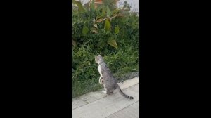 Приколы,юмор9