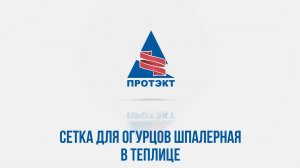Монтаж сетки для огурцов в теплице