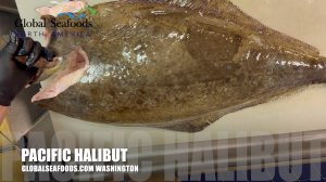 🔪 Разделка дикого тихоокеанского палтуса весом 9 кг — шаг за шагом! 🐟