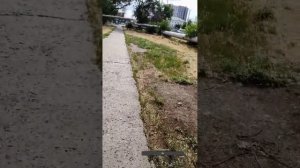 Прямая трансляция fishing и мы !