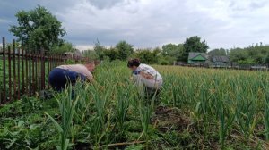 ЖИЗНЬ В ДЕРЕВНЕ/СТЫДНО,НЕ СПРАВЛЯЕМСЯ/ КАК ПОРАБОТАЕШЬ,ТАК И ЗАРАБОТАЕШЬ/